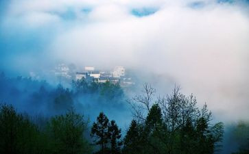 描写雾的作文400字模板5篇