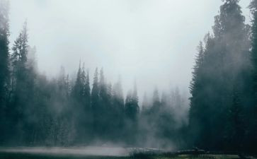 雾的优秀作文500字优质8篇