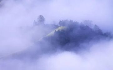 雾的优秀作文500字最新8篇