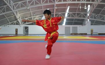 武术协会工作总结6篇(武术协会工作总结：精益求精，砥砺前行)