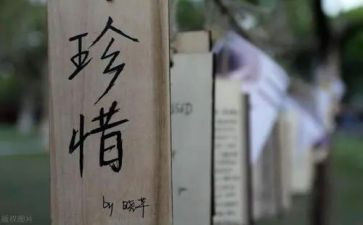 珍惜作文通用8篇