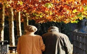 梦和现实作文模板8篇