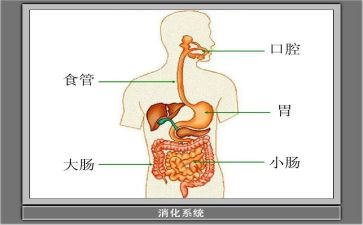 消化内科护士自我鉴定6篇