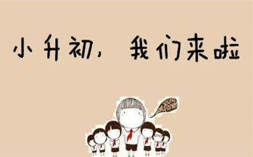 小升初培训心得8篇