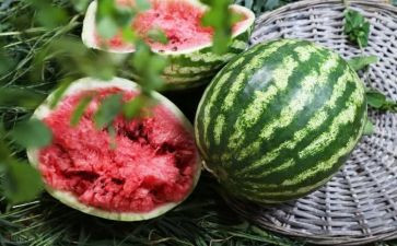 小班《西瓜》教案模板6篇