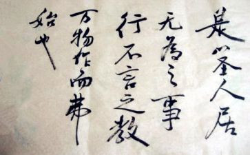 言与行演讲稿300字优质8篇