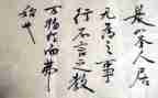 言与行演讲稿300字优质8篇