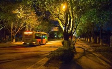 静夜思教案教案精选6篇