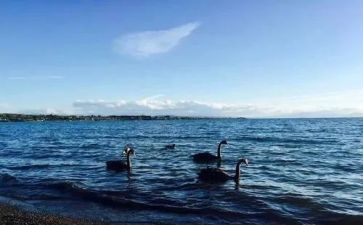 文明,只差一步作文6篇