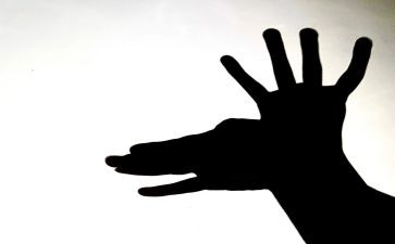 中班光与影子科学教案5篇