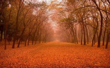 印象深刻的一件事作文5篇