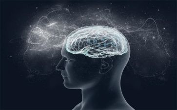 在刑意识心得体会精选5篇