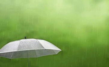 小雨小雨音乐教案模板8篇