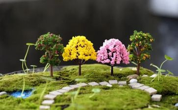 幼儿园艺术活动教案通用8篇