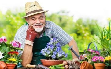 幼儿园艺术教学计划8篇