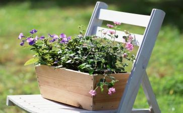 幼儿园艺术活动教案5篇