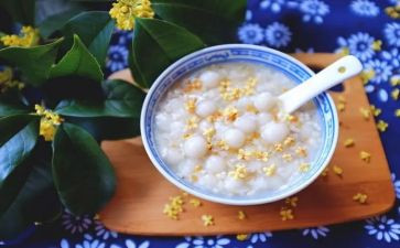 祖父的园祖父的园子读后感参考5篇