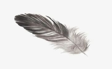 羽毛球协会工作总结7篇