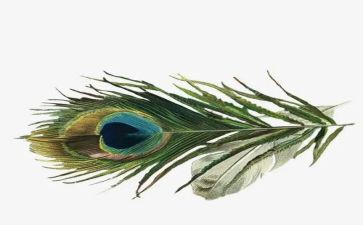 羽毛球的活动策划6篇