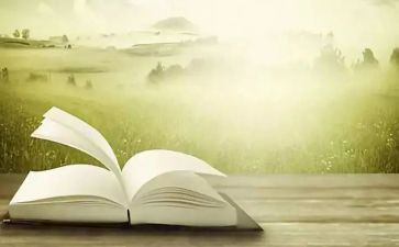 语文老师心得体会500字6篇