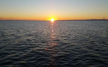 小学生早餐调查报告5篇