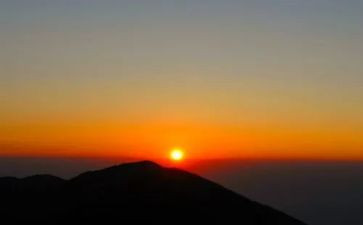 春天的早晨作文6篇