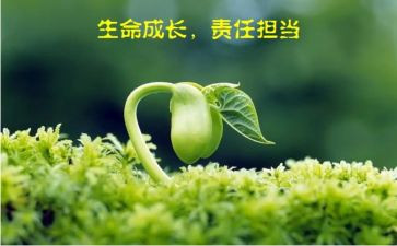 责任担当类作文精选6篇