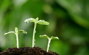 读《一粒种子》有感6篇(《一粒种子》：启迪心灵，点亮未来)