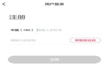 注册租房合同6篇