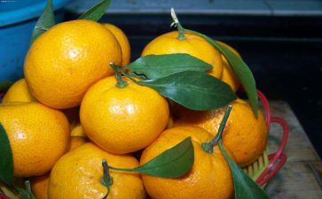 橘子味的夏天的读后感优质6篇