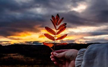 《自控力》心得体会通用8篇