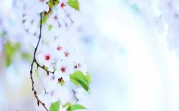 《自控力》心得体会优秀8篇