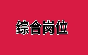 综合岗的工作总结5篇