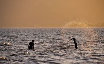 走进社会活动方案8篇