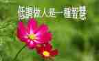 做人演讲稿优质6篇